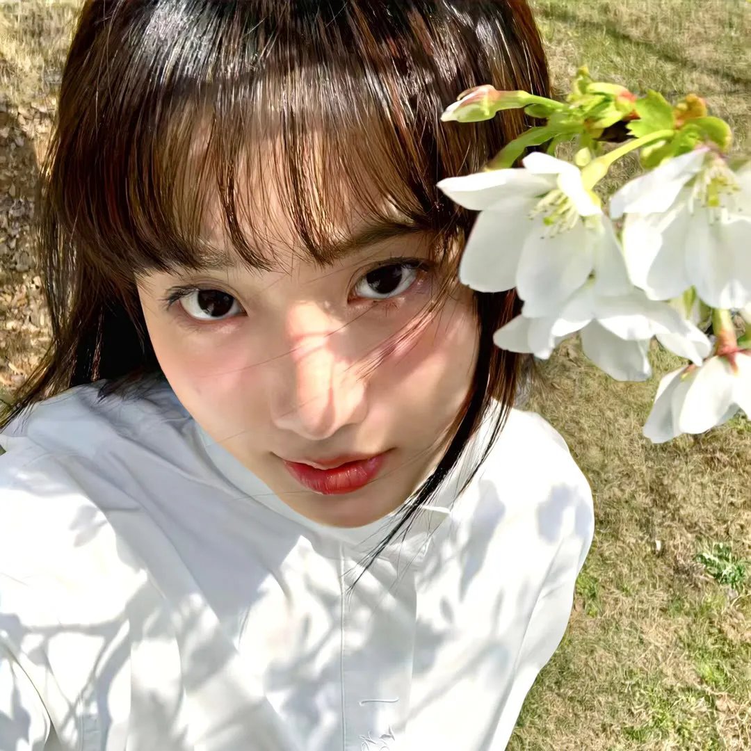 桃李劫